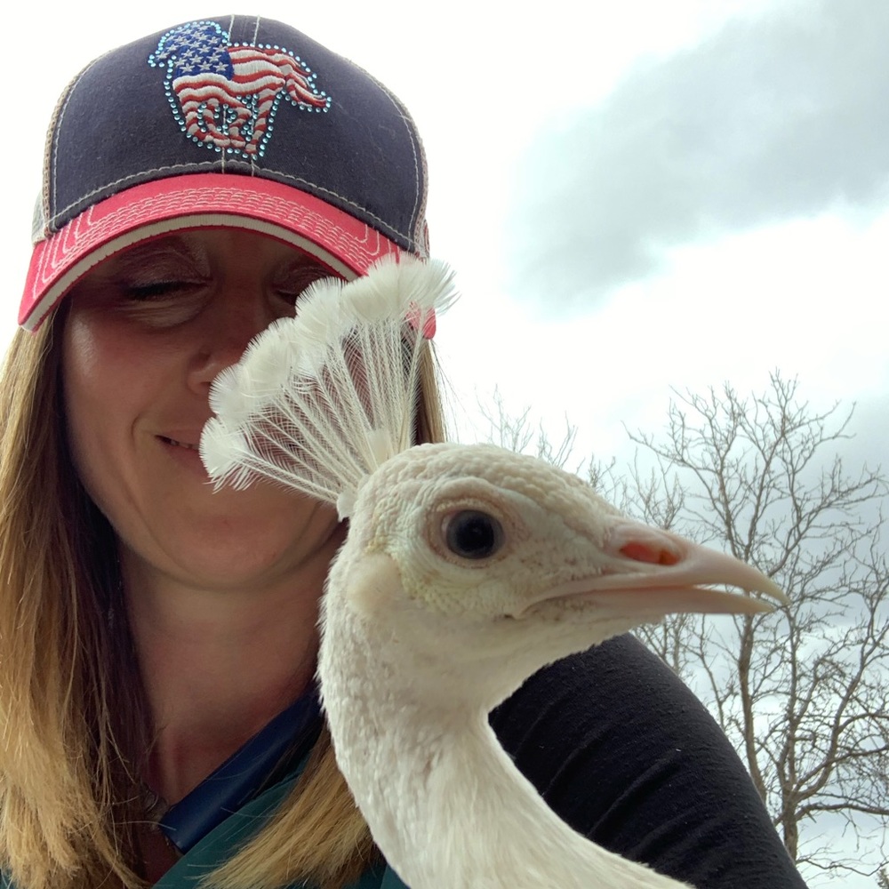 Meet your Posher, Kellie